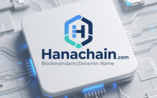 HanaChain（HANA）项目介绍（基于公开信息框架整理）
