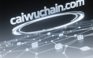 区块链+财务管理：技术融合与价值重构