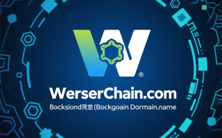 WerserChain（维瑟链）项目介绍