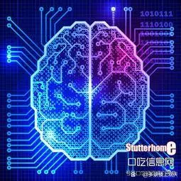 脑机接口,“辛”路历程-第2张图片-梅塔社--元宇宙信息服务社 脑机接口,“辛”路历程-第2张图片-梅塔社--元宇宙信息服务社